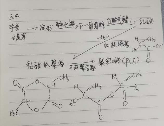 生物降解袋中的PLA是如何制得的？(圖2)